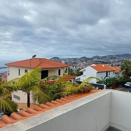 Palmeiras * Funchal (Madeira)